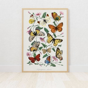 Schmetterling Wand Kunst Schmetterlinge Wand Druck, Wohnkultur druckbare Wand Kunst Maximalist Dekor Vintage moderne Kunst Ausstellungsplakat Wandkunst
