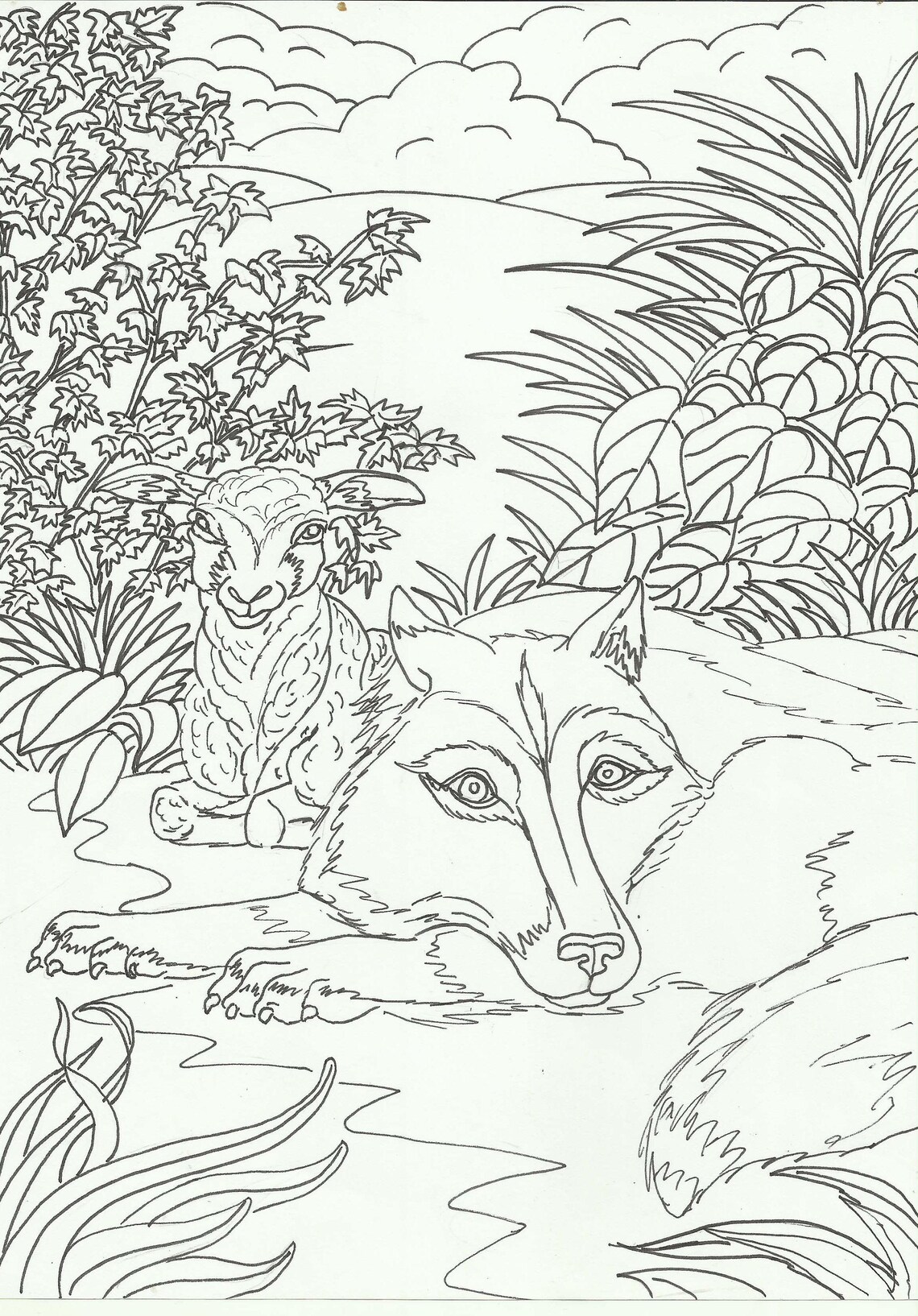 Paradise 20 coloring pages pages DIGITAL format | Etsy