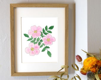 Nootka Rose Watercolor Art Print | PNW Botanical Decor (8x10)