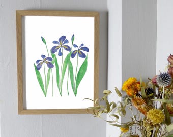 Iris Watercolor Art Print | Botanical Floral Illustration