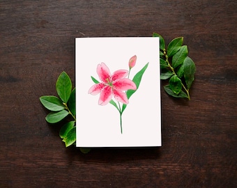Stargazer Lily Watercolor Card Set | Pink Floral Greeting Cards