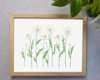 Daisy Watercolor Art Print | Sustainable Floral Wall Decor