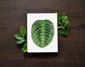 Prayer Plant Leaf Blank Greeting Card | Lemon Lime Maranta Houseplant Card | Everyday Greeting Card