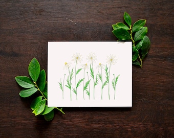Watercolor Daisy Blank Cards | Floral Art Greeting Card