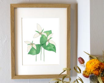 Trillium Watercolor Print | PNW Botanical Decor | 8 x 10 Easy To Frame Wall Art