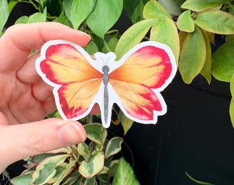 Tulip Petal Butterfly Sticker | Pressed Flower Sticker