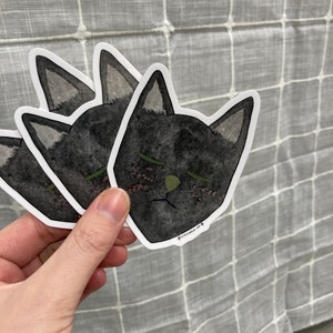 Black Cat Botanical Sticker Flowers In Their Eyes Series Watercolor & Pressed Flower Sticker image 3