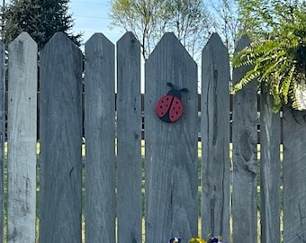 Poly Lady Bug, Outdoor Decor, Fence Decor, Durable, Bright Colors