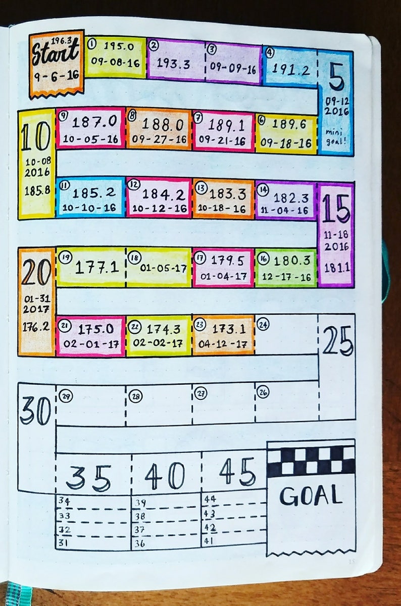 Digital Download WEIGHT-LOSS TRACKER Hexagon Bullet | Etsy