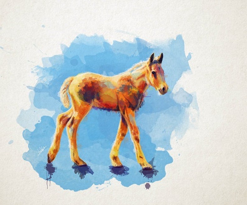 Baby horse art print foal art print baby animals nursery Etsy