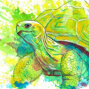 ★Original ART ‘Turtle’ il_340x270.4199113164_r7ha.jpg
