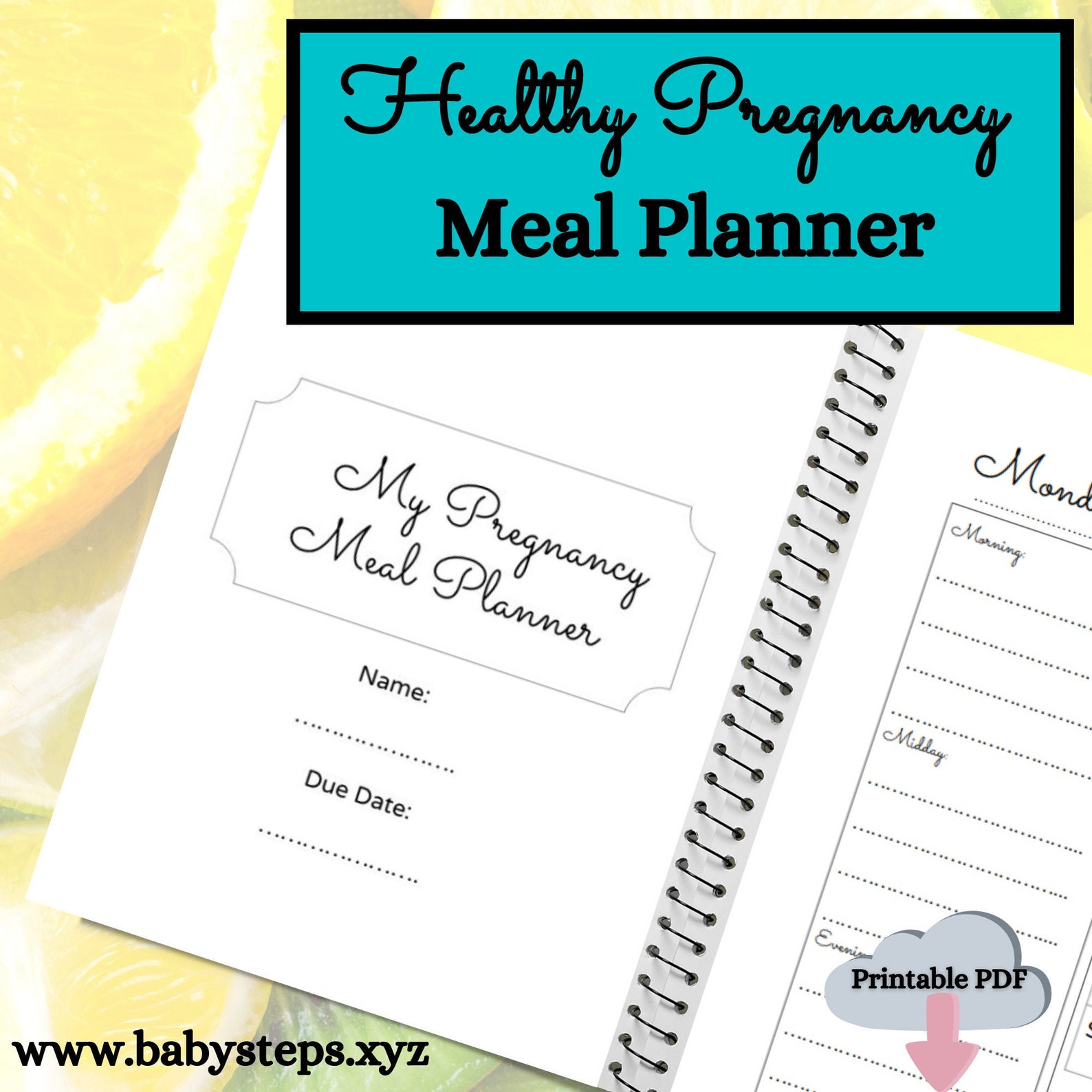 Pregnancy Meal Planner Printable Weekly Journal Organizer - Etsy Finland