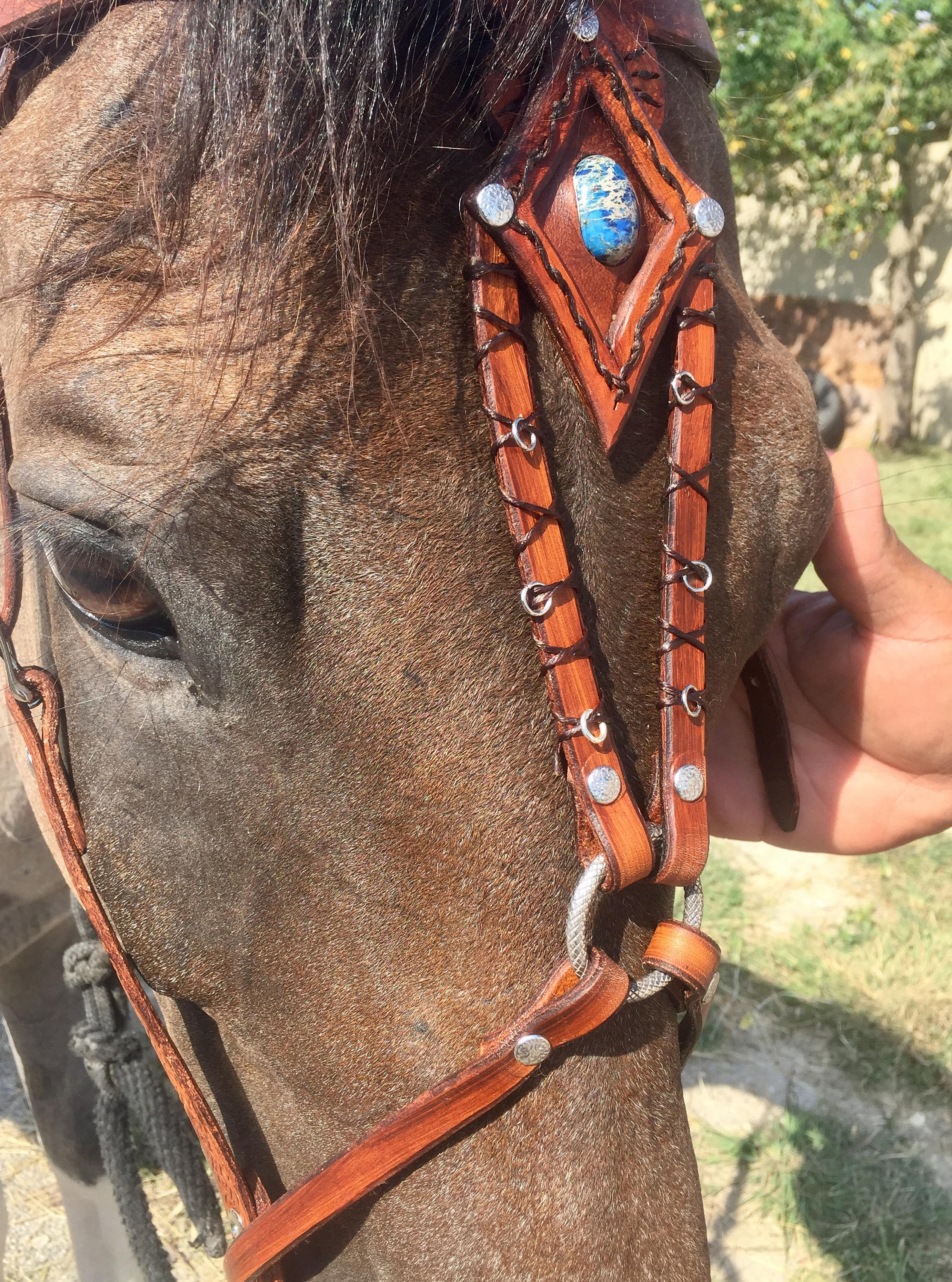 Sidepull Bridle Show Bridle English bridle Western Etsy