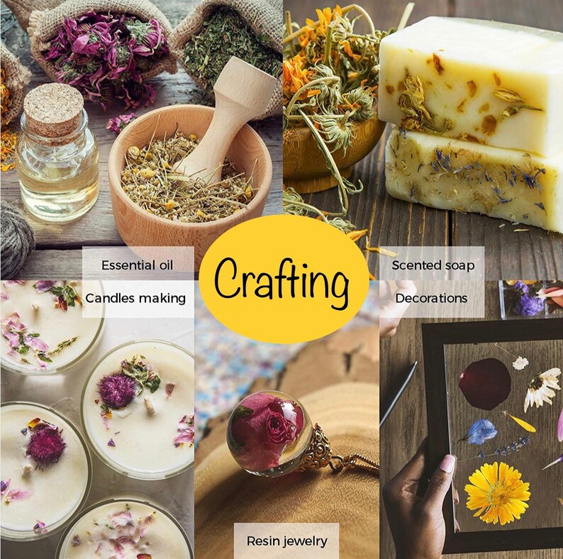 Bulk Dried Flowers for Resin Soaps Candles Aromatherapy Etsy