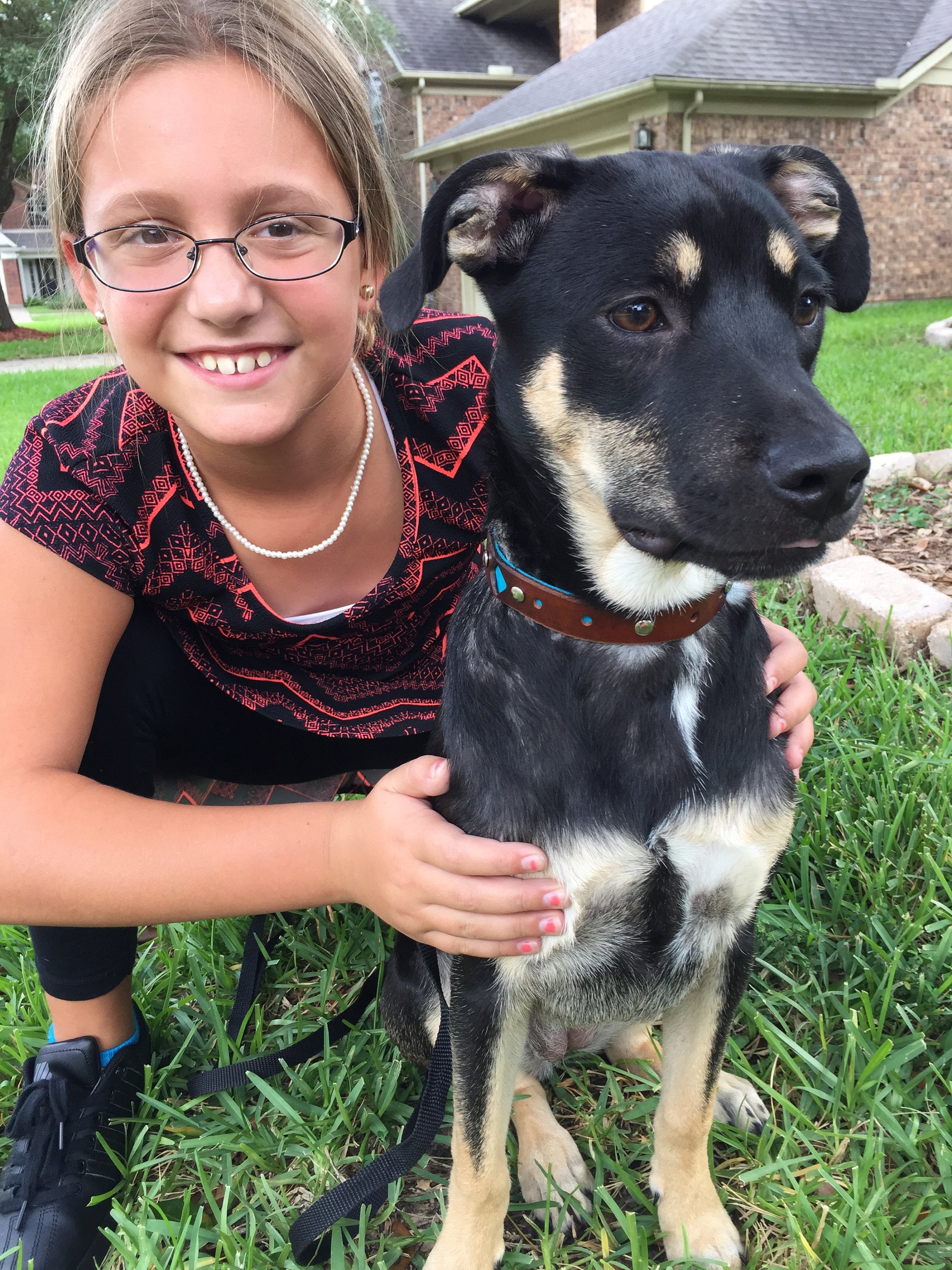 Leather Dog Collar Size MXL Pink Dog Collar Blue Dog Etsy