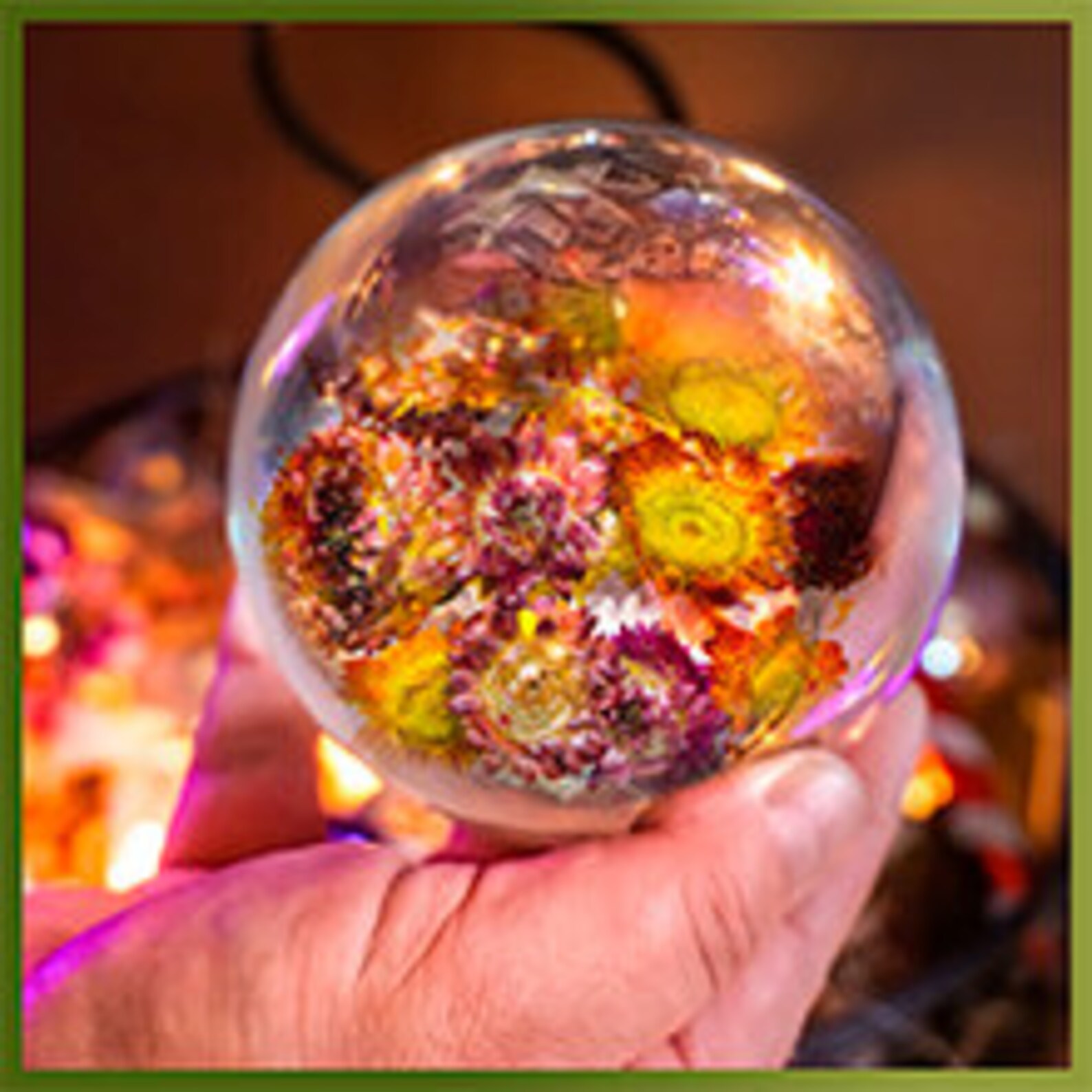 Bulk Dried Flowers for Resin Soaps Candles Aromatherapy Etsy