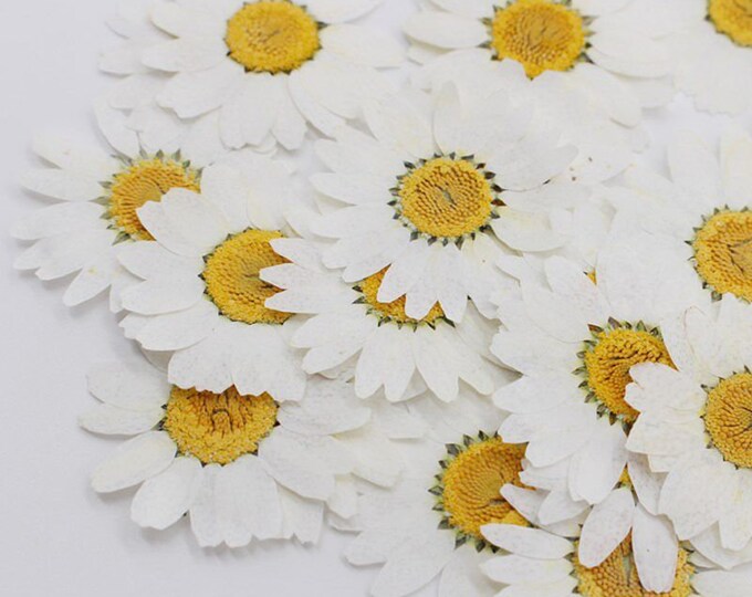 Bulk Dried Flowers for Resin Soaps Candles Aromatherapy Etsy