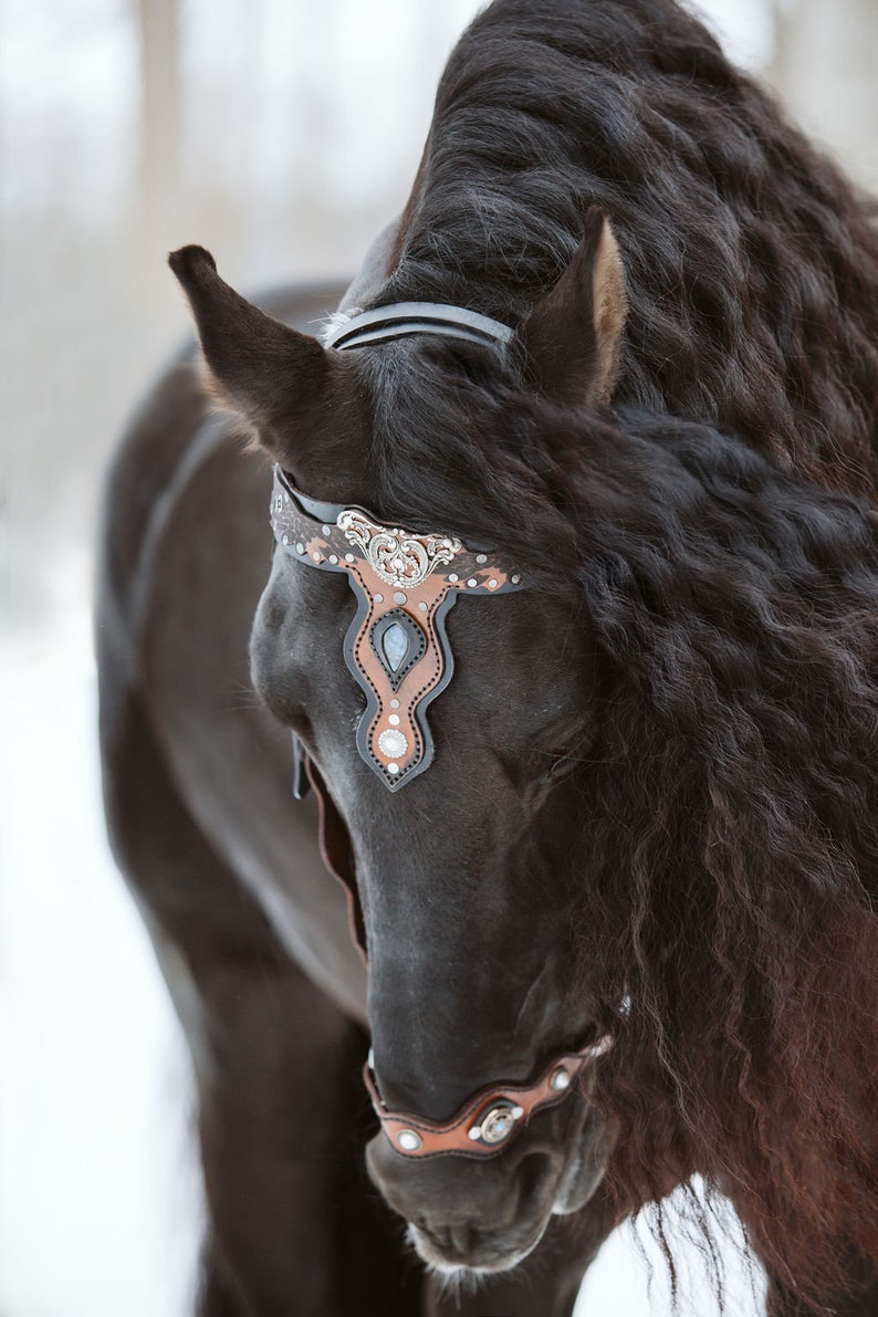 Baroque Bridle and Breast Collar With Matching Reins Fantasy Etsy