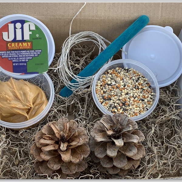 Pine Cone Bird Feeder Craft kit for kids - ALL INCLUSIVE - Fun, easy and inexpensive!