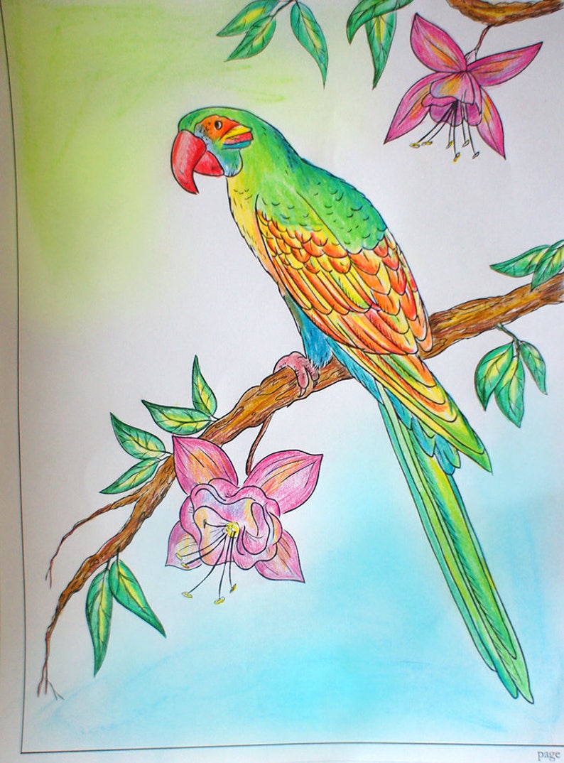 Download PDF coloring book Rainbow Line art. by Alena Lazareva Adult | Etsy