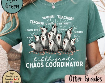 Camiseta Comfort Colors para maestros de quinto grado, camiseta para maestros amantes de las zarigüeyas de quinto grado, linda camiseta para maestros de primaria, camiseta de regreso a clases