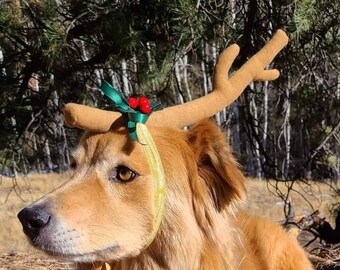 grinch dog antler for dogs