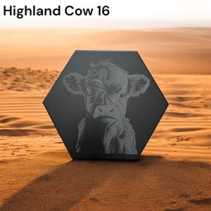 Könnte beinhalten: Ein schwarzer sechseckiger Untersetzer mit einer detaillierten Illustration eines Highland-Kuhgesichts. Der Text "Highland Cow 16" befindet sich oben. Der Untersetzer befindet sich vor einem verschwommenen Wüstenhintergrund.