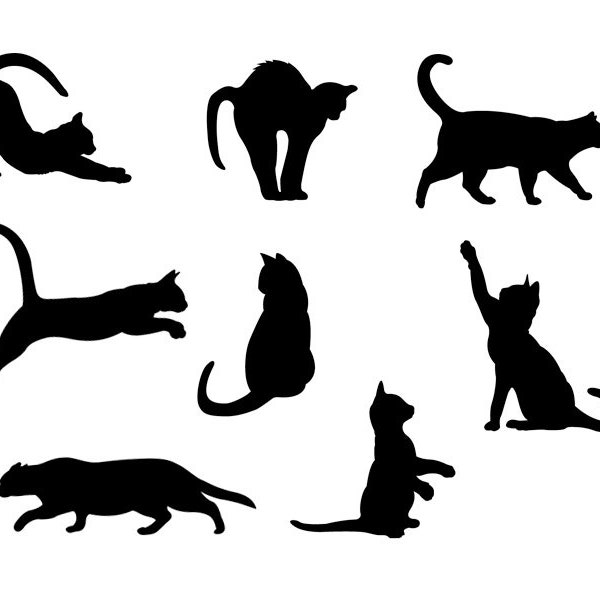 8 pack Cats Vinyl Stickers in Various Poses. Great for car bumpers, windows, your walls, laptops, phone cases, etc. Animal decal cat