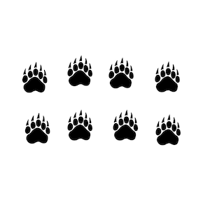 Confezione da 8 adesivi in vinile con impronte di zampe di orso. Ottimi per paraurti, finestre, pareti, laptop, custodie per telefoni, ecc. Decalcomania con zampe di animali. Grizzly