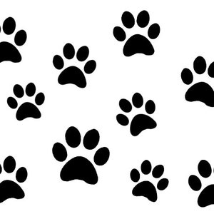 May include: A set of ten black paw prints, each with four toes and a pad, arranged in a scattered pattern on a white background.