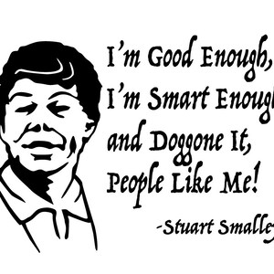 I'm Good Enough, I'm Smart Enough, and Doggone It, People Like Me Vinyl Stuart Smalley Wall Sticker. Bathroom Decal. For Walls, Cars, Mirror