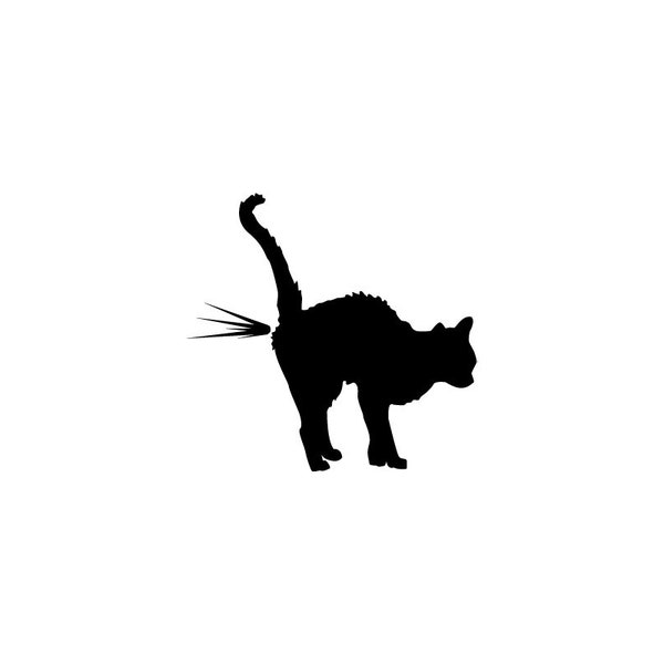 Pegatina para parachoques de vinilo con diseño de gato meando. Ideal para tu parachoques, ventana, computadora portátil, pared, etc. Muestra tu desaprobación por algo con un gato orinando.