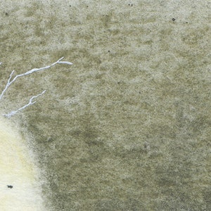 May include: Two white, ghostly figures with wispy, white hair on a textured, green background.