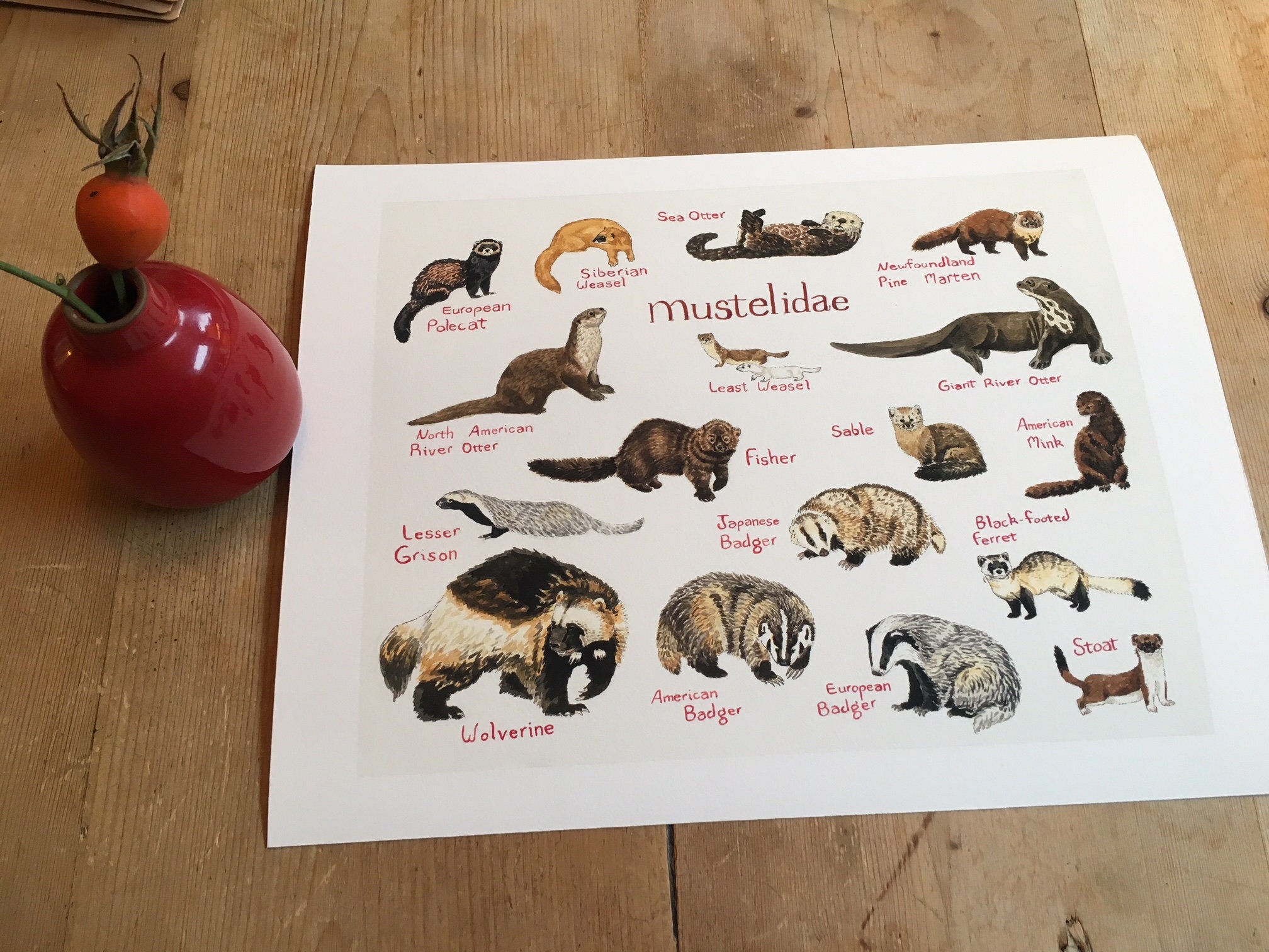 Art Print Weasel Chart - Etsy