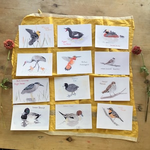 Postales de aves de acuarela