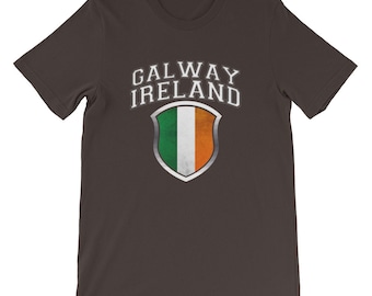 Threadrock Men's Ireland Lion Crest Flag Long Sleeve T-shirt Irish Flag