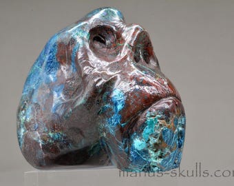 Toothless QUANTUM QUATTRO Manus SKULL ... Chrysocolla, Dioptase, Malachite, Shattuckite, Cuprite.....