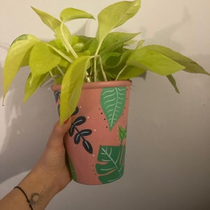 Puede incluir: Una planta de hojas amarillas en una maceta rosa con un diseño de hojas tropicales verdes y negras.