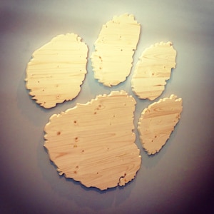 Tiger Paw - Five Piece Wall Art