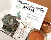 Missing You Succulent Gift Box Set Send a Gift Care Package Miss You Moving Long Distance Friendship Birthday Gift I miss you