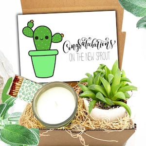 Congrats on your new baby succulent gift box, Baby congratulations gift, New mom gift box, Mama Care Package, Baby Welcome gift, first-time