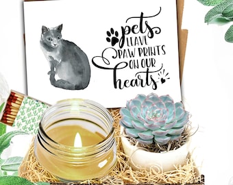 Pet Grievance Care Package- Live Succulent Pet Sympathy Gift Box - Care Package grief  - Thinking of You - Pet Loss Cat Card