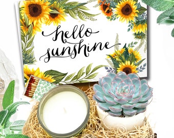 Hello Sunshine - Quarantine Succs| Thinking of You Gift| Succulent Gift Box| Succulent Gift| Care Package| Gift for her| Gift for Friend