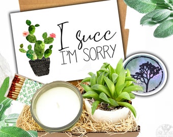 Apology Gift - I Succ - I'm sorry Succulent and Candle Gift Box | Sunshine gift | Regrets gift  | Apology gift  | Forgive Me - Belated Bday