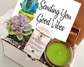 Sending You Good Vibes - Succulent gift box - FREE SHIPPING -cactus gift - Send A Gift - birthday present- friend gift get well soon