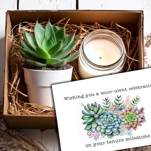 May include: A gift box with a succulent plant in a white pot, a candle, and a card that reads "Wishing you a 'succ'-ulent celebration on your tenure milestone".