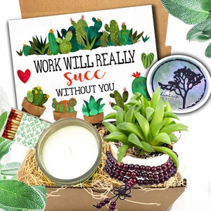 May include: A gift box filled with a succulent plant, a candle, matches, a bracelet, and a card that says "Work will really succ without you".