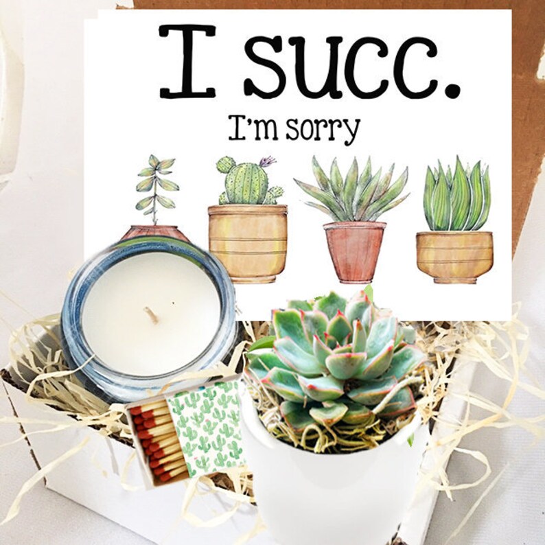 Apology Gift I succ I'm sorry Succulent Mini Gift Box Etsy