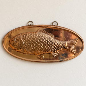 May include: An oval copper mold featuring a detailed embossed fish design with scales and fins. The mold has a polished metallic finish and includes two small circular loops at the top edge for hanging or mounting purposes.