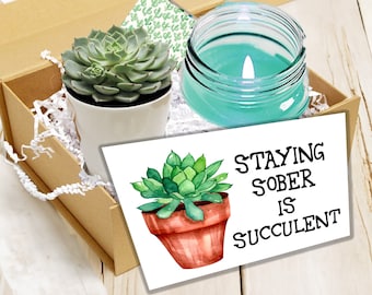 Staying Sober is Succulent - Happy Soberversary Sobriety-themed succulent gift set Unisex -   congrats sobriety - sobriety birthday.